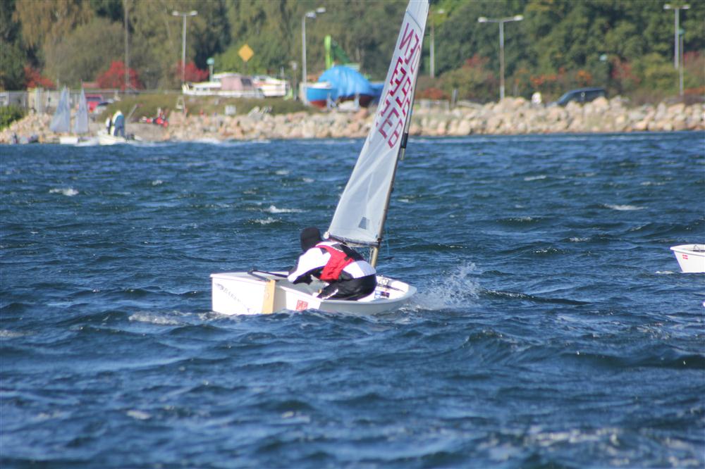 Vis 20111008 130823.jpg i fuld st�rrelse